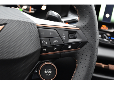 Cupra Terramar VZ 2.0 TSI 4Drive DSG