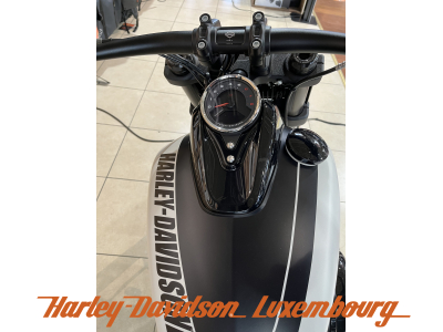 Harley-Davidson Softail 