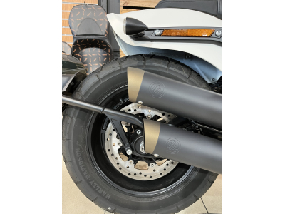 Harley-Davidson Softail 