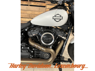 Harley-Davidson Softail 