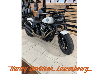 Harley-Davidson Softail 