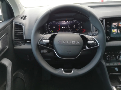 Skoda Karoq 2.0 TDI DSG 150 Selection
