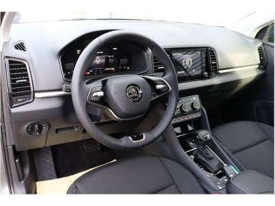 Skoda Karoq 2.0 TDI DSG 150 4x4 Selection