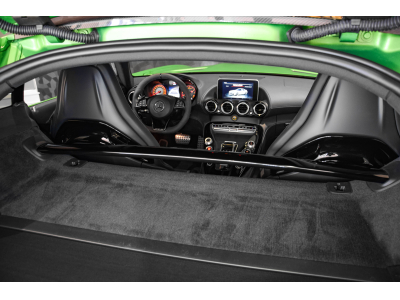 Mercedes-Benz AMG GT R V8 Bi-Turbo - GREEN HELL MAGNO