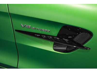 Mercedes-Benz AMG GT R V8 Bi-Turbo - GREEN HELL MAGNO