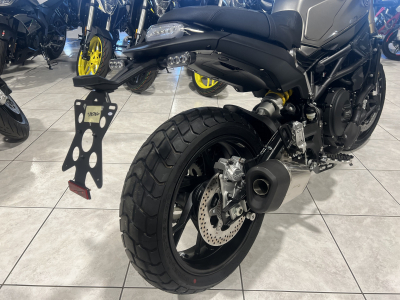 Benelli Leoncino 800
