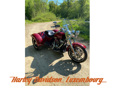 Harley-Davidson Freewheeler 