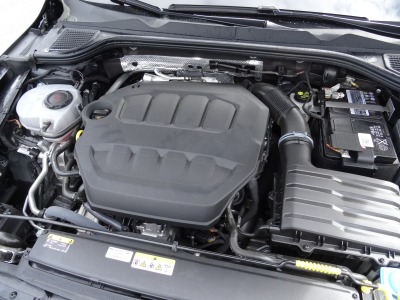 Volkswagen Golf GTI 8 VIII 2.0 TSI 6 VITESSES 245CV