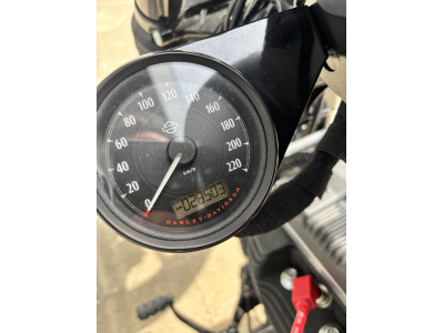 Harley-Davidson Sportster 883 Iron
