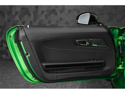 Mercedes-Benz AMG GT R V8 Bi-Turbo - GREEN HELL MAGNO