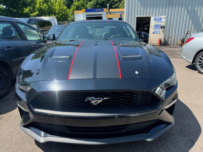 Ford Mustang FORD MUSTANG LEDER NAVI BII XENON