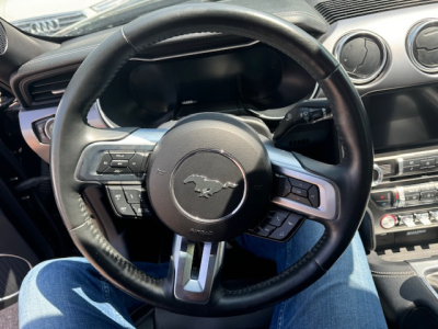 Ford Mustang FORD MUSTANG LEDER NAVI BII XENON