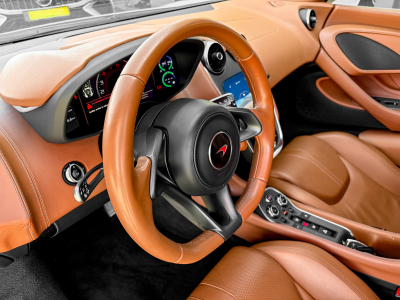 McLaren 570S 570S Coupé 3.8 Bi-Turbo V8/AKRAPOVIC | LIFT/ MALUS P./Ceramic/Camera/