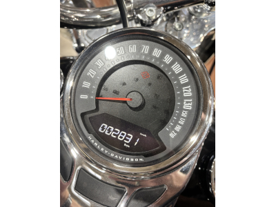 Harley-Davidson Heritage Softail 