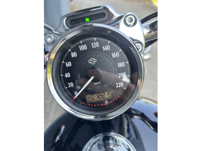 Harley-Davidson 1200 Custom 