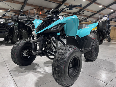 Yamaha YFM 110 R