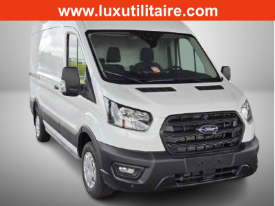 Ford Transit 2T 2.0 EcoBlue 130 LH Trend