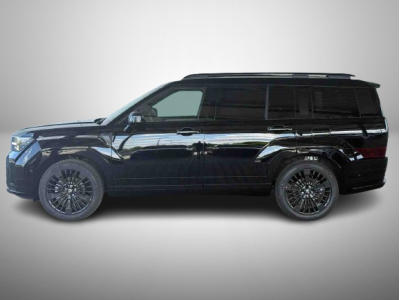 Hyundai Santa Fe 1.6 T-GDI PHEV 258 DCT 20th Calligraphy