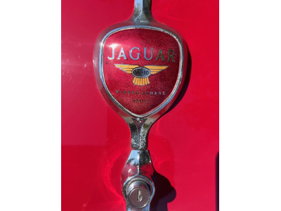Jaguar XK 140 coupe