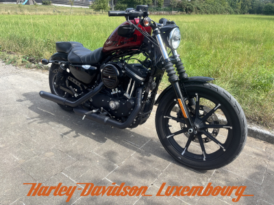 Harley-Davidson Iron 883 
