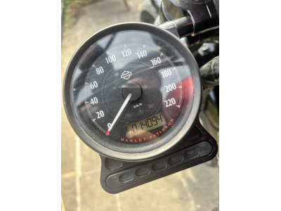 Harley-Davidson Iron 883 
