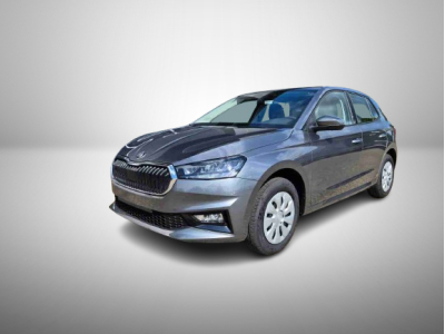 Skoda Fabia 1.0 TSi 95 Selection
