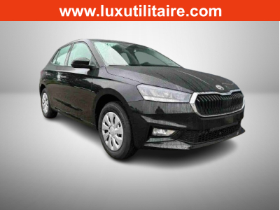 Skoda Fabia 1.0 TSi 95 Selection
