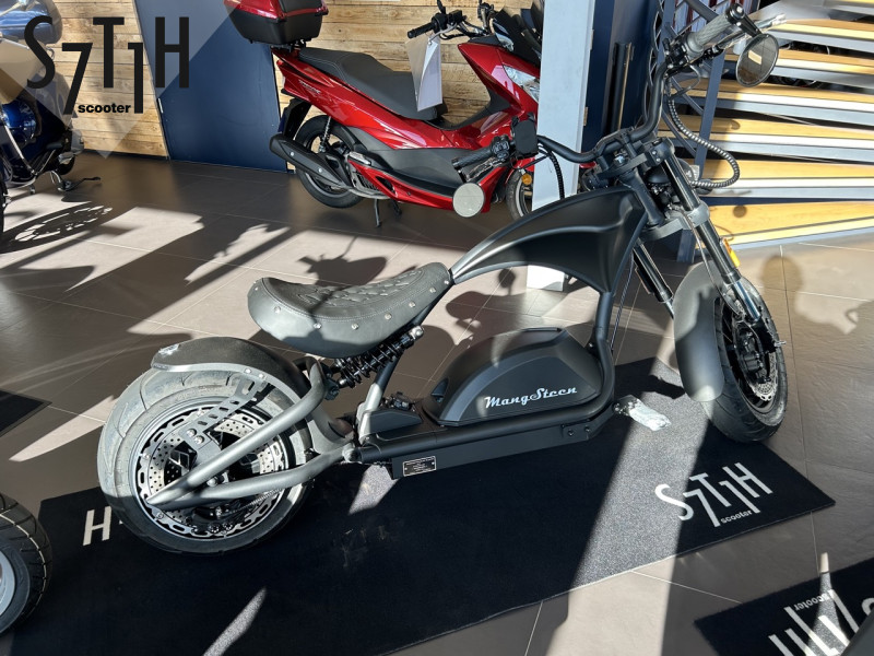 Mangosteen M1P E-Scooter