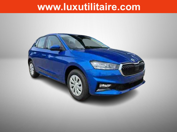 Skoda Fabia 1.0 TSi 115 DSG Selection