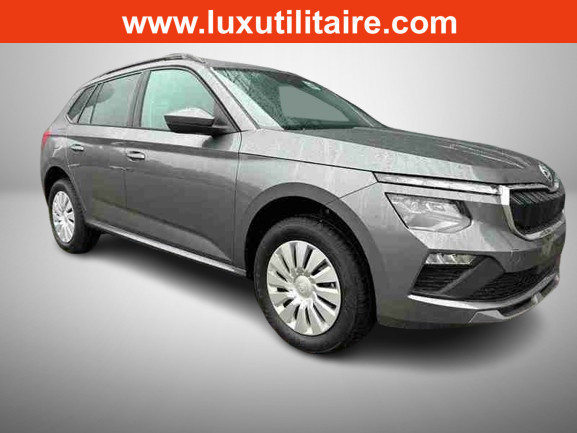 Skoda Kamiq 1.0 TSi 115 DSG SELECTION