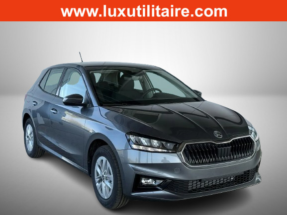 Skoda Fabia 1.0 TSi 110 DSG Selection