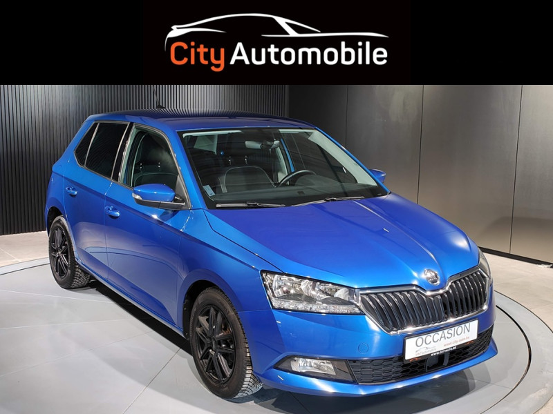 Skoda Fabia 1.0 TSI GPS CRUISE CLIM AUTO APS AR