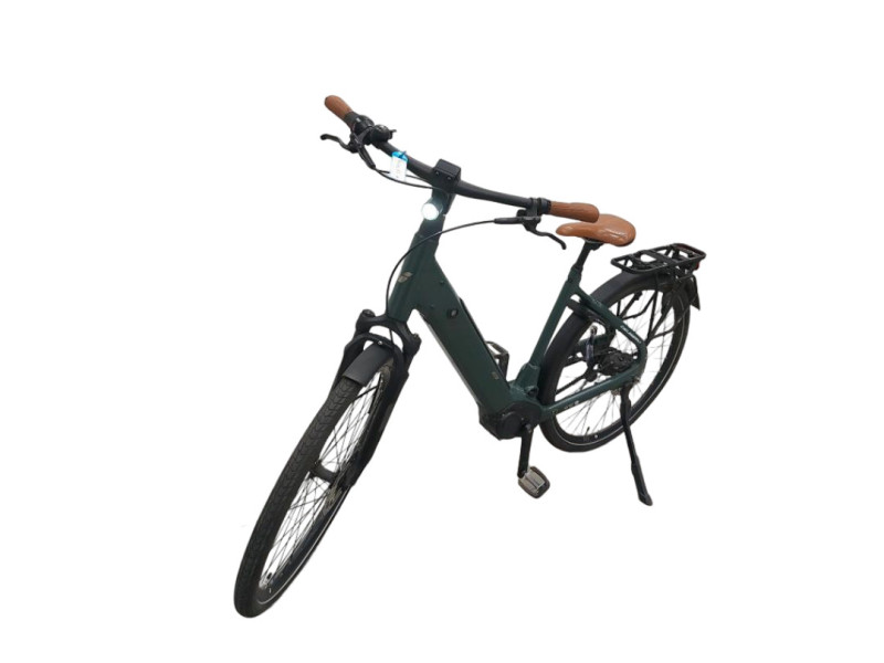 Giant DailyTour E+1 Ladies 500W 2022