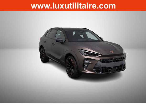 Cupra Terramar 2.0 TSI DSG 265 VZ 4Drive