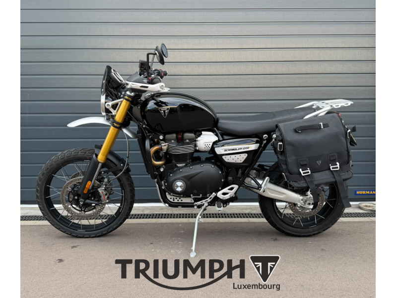 Triumph Scrambler