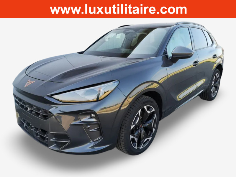Cupra Terramar 2.0 TSI DSG 265 VZ 4Drive