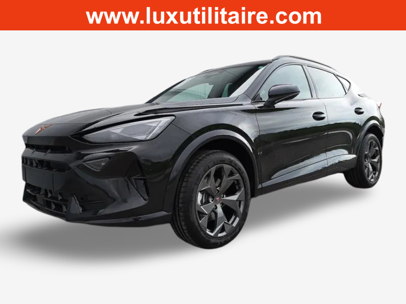 Cupra Formentor 2.0 TSi DSG 204  4x4