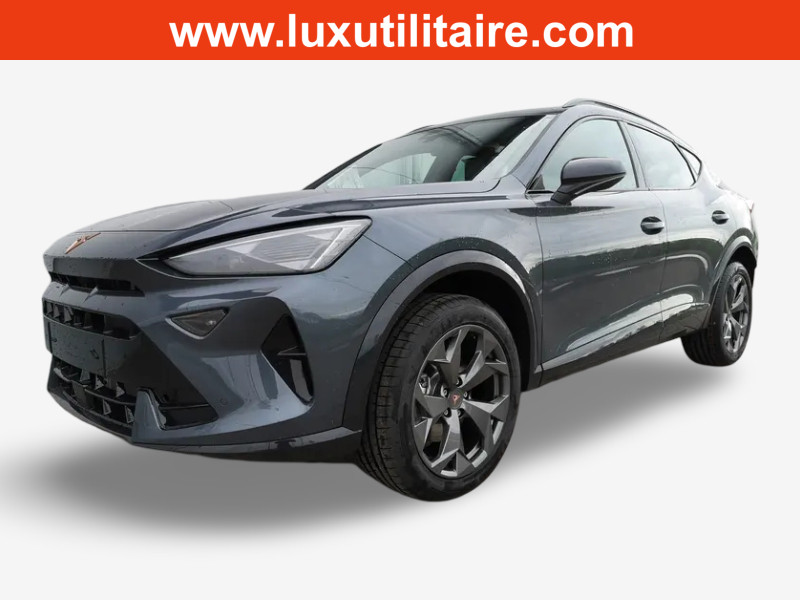 Cupra Formentor 2.0 TSi DSG 204  4x4