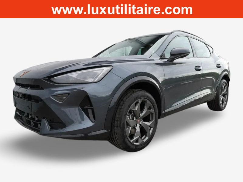 Cupra Formentor 2.0 TSi DSG 204  4x4
