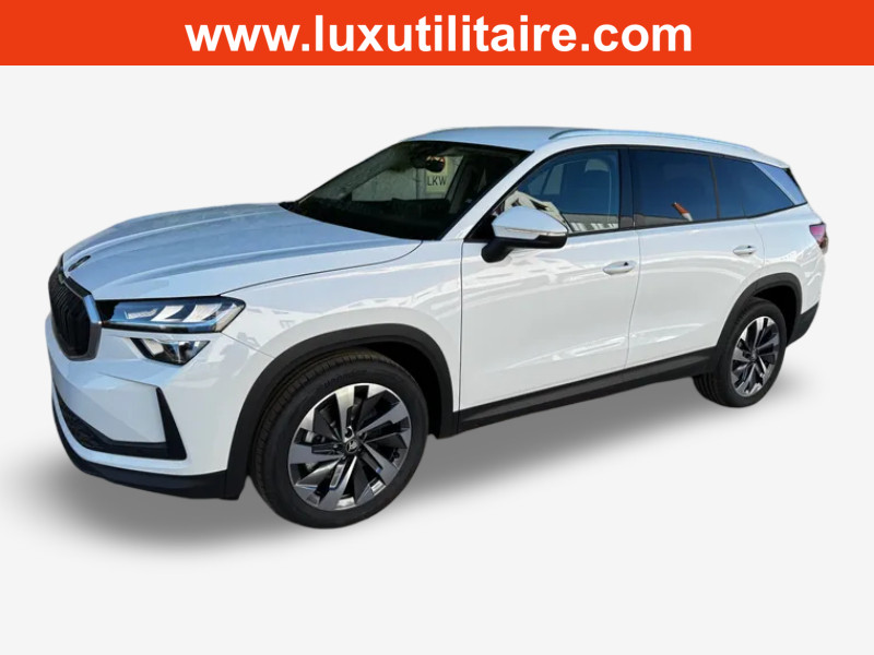 Skoda Kodiaq 2.0 TDI 193 DSG Selection 4x4